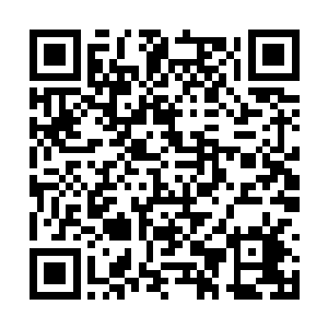真的不是想看到他们用无边仇恨和懊悔来折磨自己二维码生成