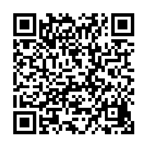 真的想不出还有谁有这种本事可以在妖族境内来去自如二维码生成
