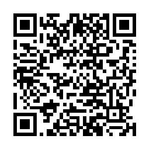 真的承受住了毛一波毛老爷子身上散发出来的恐怖的压力二维码生成