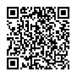 真的把丁羽手下面的那些安保当做是酒囊饭袋了二维码生成