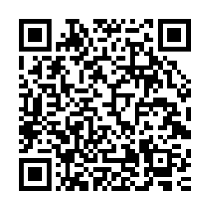 真的要在一个已经完全忘记了自己的女人身上再苦苦的挣扎吗二维码生成