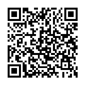 真的让秦方有点怀疑这个老头子是不是多重人格二维码生成