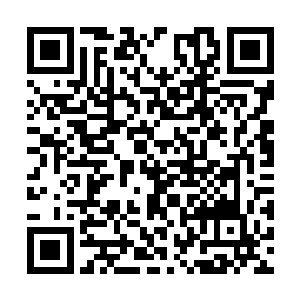真空宫的两位副宫主都是给真空宫的宫主进行传音二维码生成