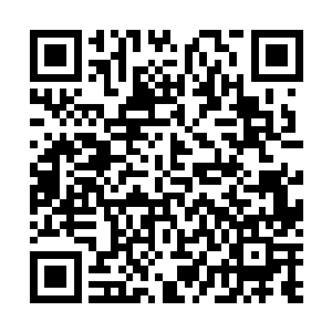 真难理解兴趣爱好有如此大偏差的两人是怎么走到一对的二维码生成