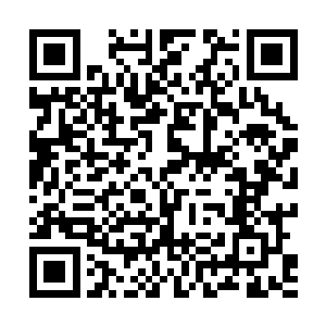 真TM是个疯子……可爱的疯子……我好像被他说动心了……二维码生成