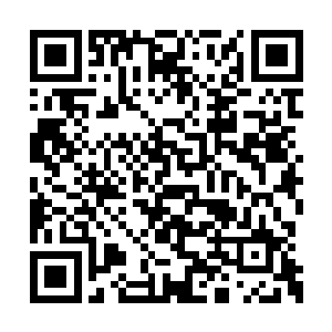 眸子里漾出的神采几乎让史蒂文忽略了其他一切二维码生成