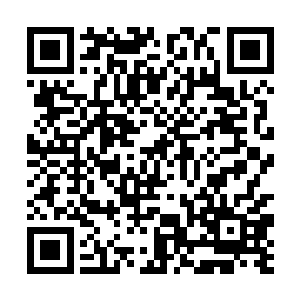 眼下皇宫中服役的内侍和宫女数量堪称有史以来最少二维码生成