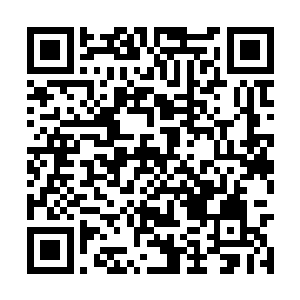 眼中也充斥起了一种包含着敬畏和恐惧的复杂神色二维码生成