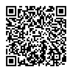眼中带着掩藏不掉的得意陆元仿佛并没有听出来许氏话中贬低陆锦阳的意思二维码生成