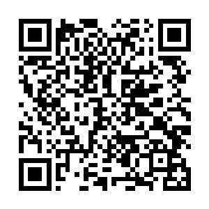 眼前同时浮起过年时在京城和罗劲的一番遭遇和较量来二维码生成