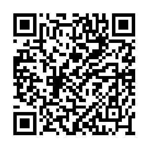 眼前大战相当于未成年小凤凰与与一只成年资深二维码生成