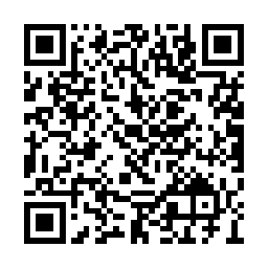 眼前的人终究是比她心底里藏着的那人年轻了些二维码生成