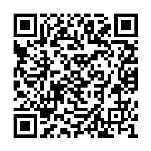 眼前的半精灵也是至少拥有四个职业等级的战士二维码生成