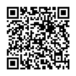 眼前的白骨之域在威力上并不比自己曾见过的人强二维码生成