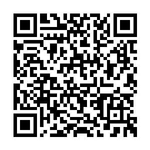 眼前的这个家伙简直就像是地狱里面的魔鬼一样二维码生成