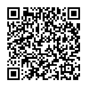 眼前的这个流年集团的千金大小姐竟然能让天怒亲自到他的面前来二维码生成