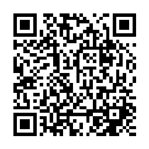 眼前的这些东西随便一样弄出去都绝对能够引起无数的高手抢夺二维码生成