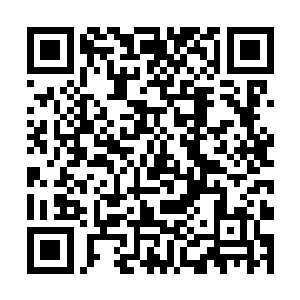 眼前的这些保镖虽然个个体格健壮而且精通搏击格斗二维码生成