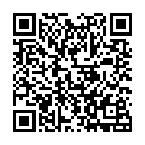 眼前的这条足足十来米的大青蛇竟然能够口吐人言二维码生成