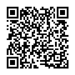 眼前的黑衣人长着一张令无数女人都要发狂的面孔二维码生成