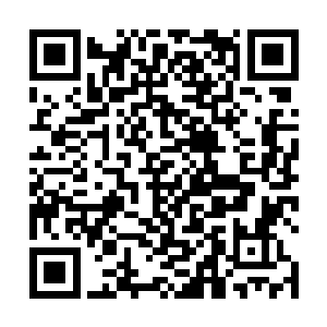 眼前被雇佣的这些人每一个都至少有着问道七阶的修为二维码生成