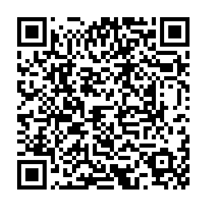 眼前许云飞的这个孱弱无比的元神就明显是送到了神蚕嘴边的肥肉了二维码生成