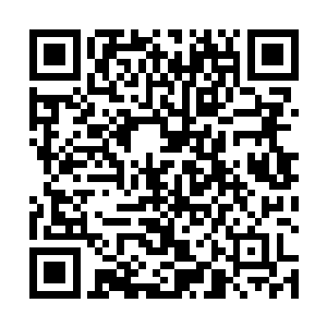 眼前这一幕让珍宝阁第四层所有人都震惊的说不出话来二维码生成