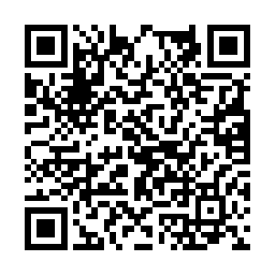 眼前这个实验室要比蒋兴国的高出不只是一个档次二维码生成