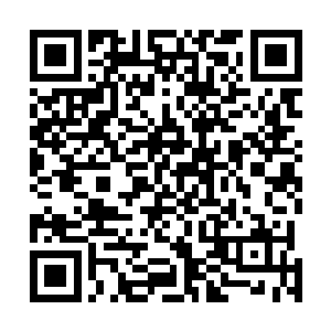 眼前这个想要将自己带回岩陵交到那些仇人手上的盗十一二维码生成