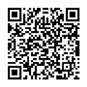 眼前这位真正打遍天下的大宗师显然也要来找血菩萨的麻烦了二维码生成