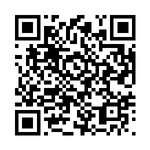 眼前这团闪电生命凝聚体的拙劣模仿二维码生成