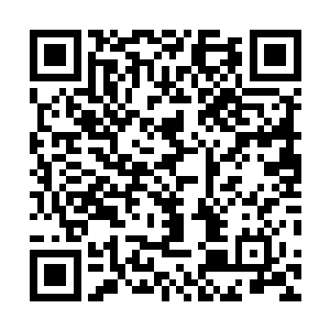 眼前这头人熊是通过特殊的手段强行抵达现在这种境界的二维码生成