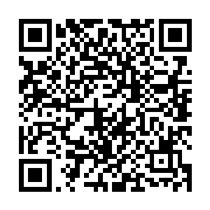 眼前这尊古怪的小石族与他认知当中的小石族完全不同二维码生成