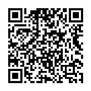 眼泪情不自禁的流了出来……其实伍秀韵一直都清楚二维码生成