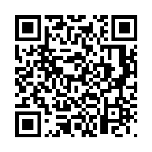 眼珠子骨碌转不知道自己是该继续吃二维码生成