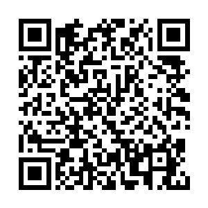 眼看两个拳头一左一右的朝着机自己的脸上打去二维码生成