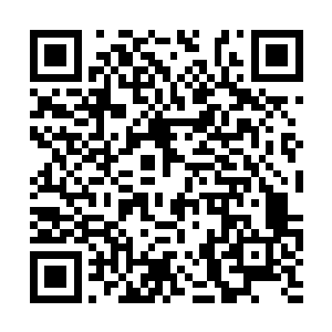 眼看地狱犬最后一个脑袋就要被这恐怖的石像踩碎二维码生成