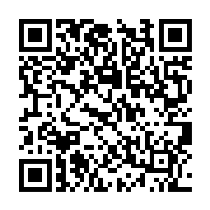 眼看就要一只胖乎乎的拳头就要砸中柳逸尘的眼睛二维码生成