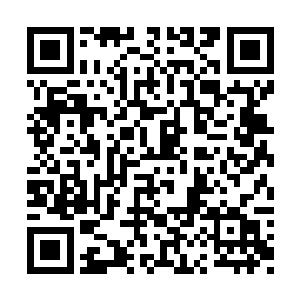 眼看楚暮就要被黑羽离开膛破肚取出心脏的刹那二维码生成