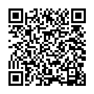 眼看着原本九幽镇魂大阵笼罩的地方彻底的变成一片废墟二维码生成