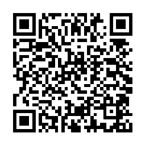 眼看着天陨神雷剑的雷柱即将斩在了自己的身上二维码生成