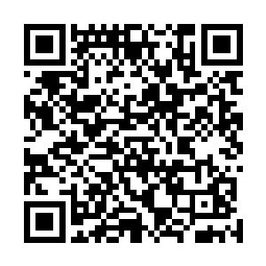 眼看着记忆里死去多时的祖父活灵活现地出现在自己面前二维码生成