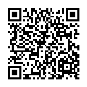 眼看着那个泰国神王就要冲到那个出价的人面前了二维码生成