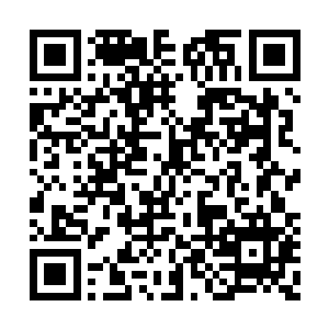 眼看着那王者就要挟持着老妇人逃离这个宫殿了二维码生成