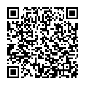 眼睁睁的看着羊羽天身上那有可能存在的太尊传承就这么与他们失之交臂二维码生成