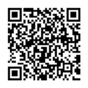 眼睁睁的看着黑岩军接管洪武城中的各处关卡和重要物资仓库二维码生成