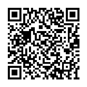 眼睁睁看着剑戟魔猪小山般的庞大身躯从天而降二维码生成