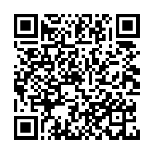 眼睛一眨也不眨地盯着刚刚走进门来的我和雅文二维码生成