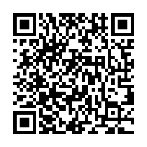 眼睛不停扫视那些头顶都飘着名字的各种植物和杂物二维码生成