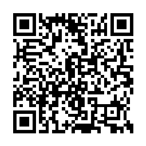 眼睛则不加掩饰的往唐晓楠脸上和身上来回巡着二维码生成